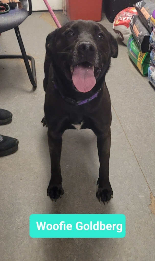 Woofie Goldberg 1