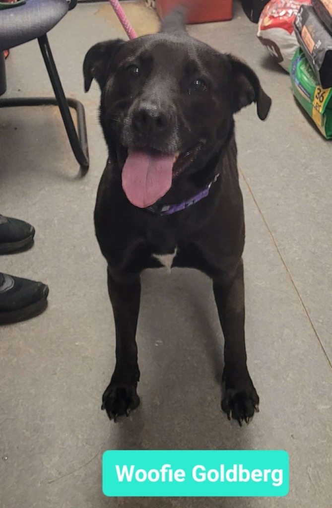 Woofie Goldberg 2
