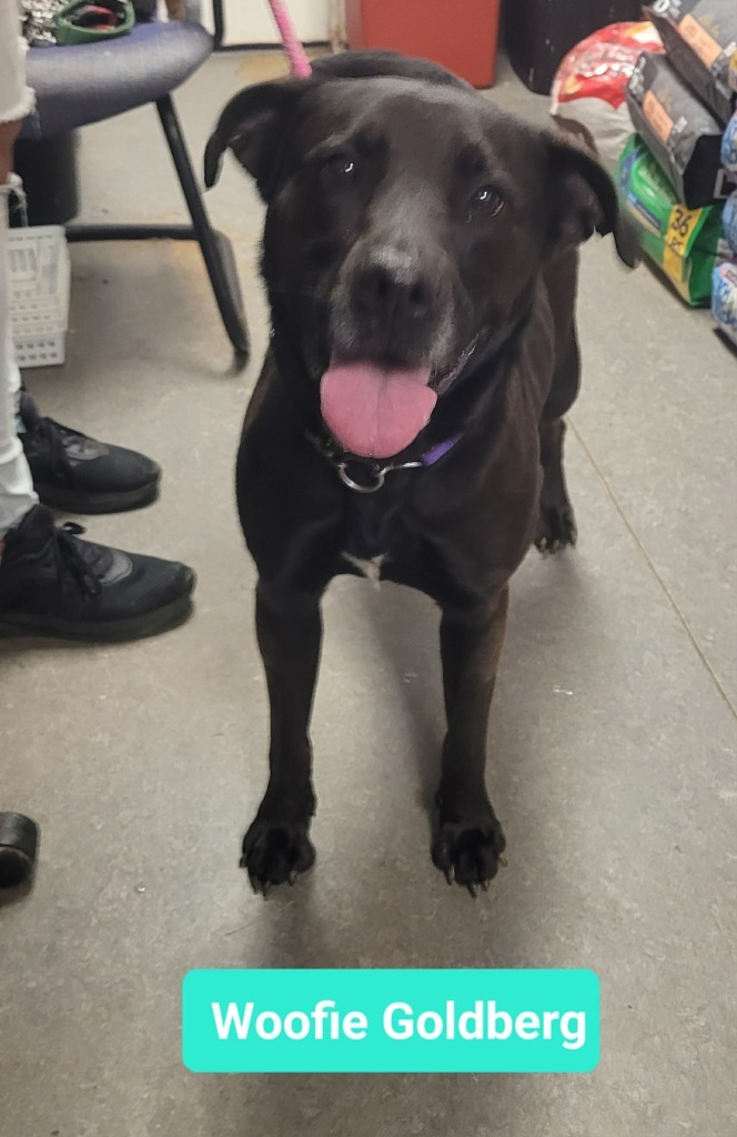 Woofie Goldberg 3