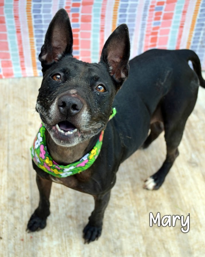 Mary