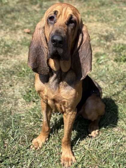 Max