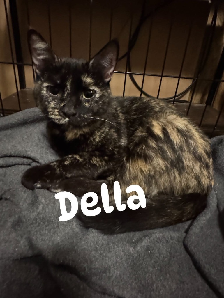 Della