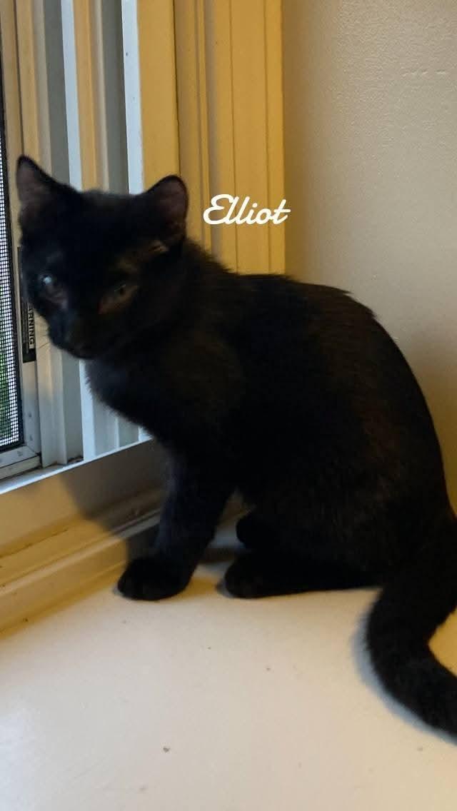 Elliot