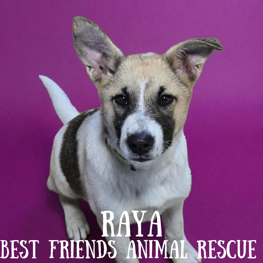 Raya