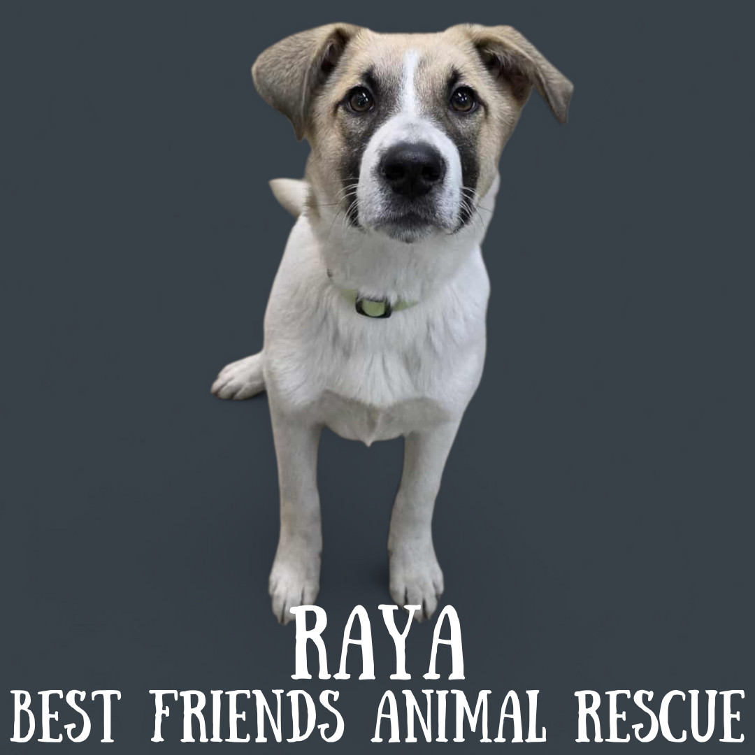 Raya
