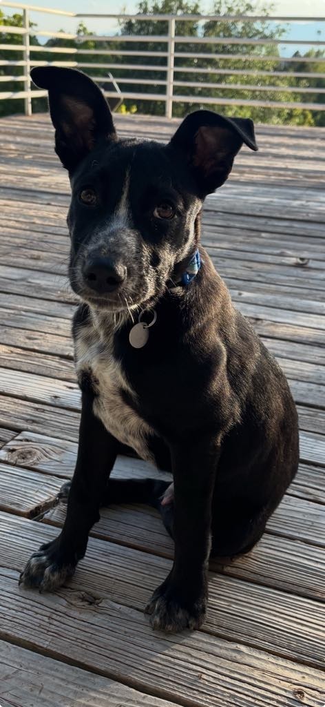 Benny