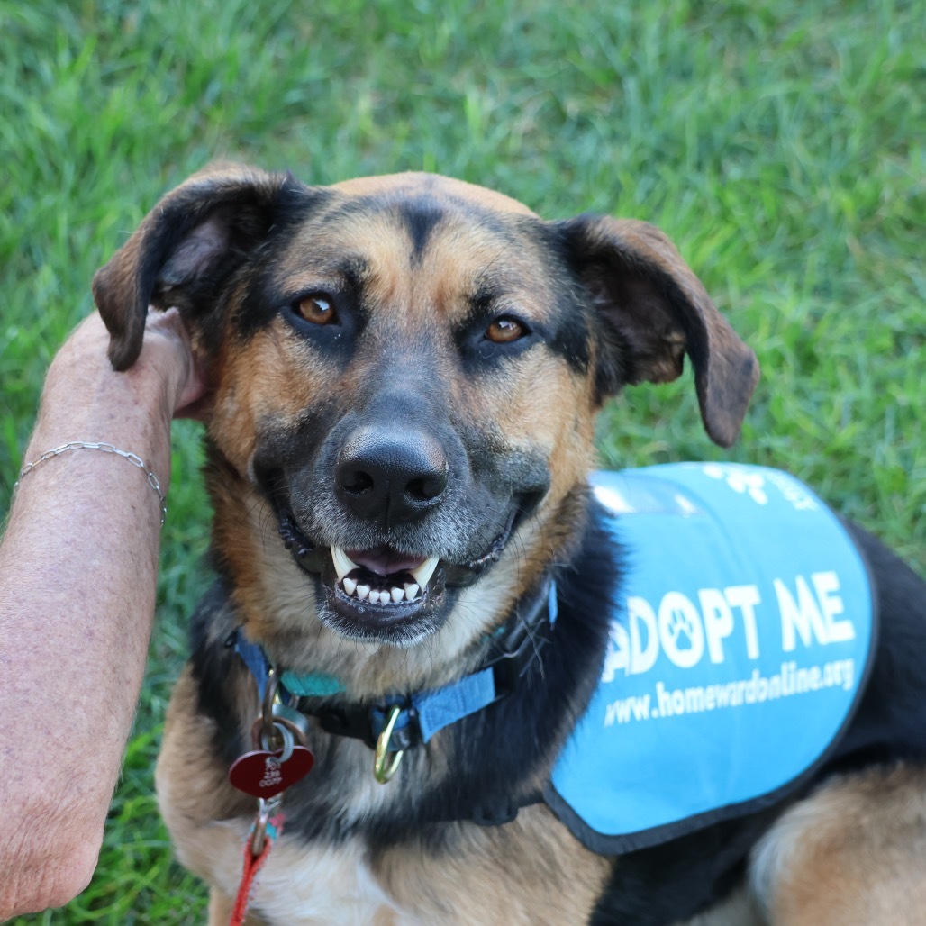Spirit--In Foster