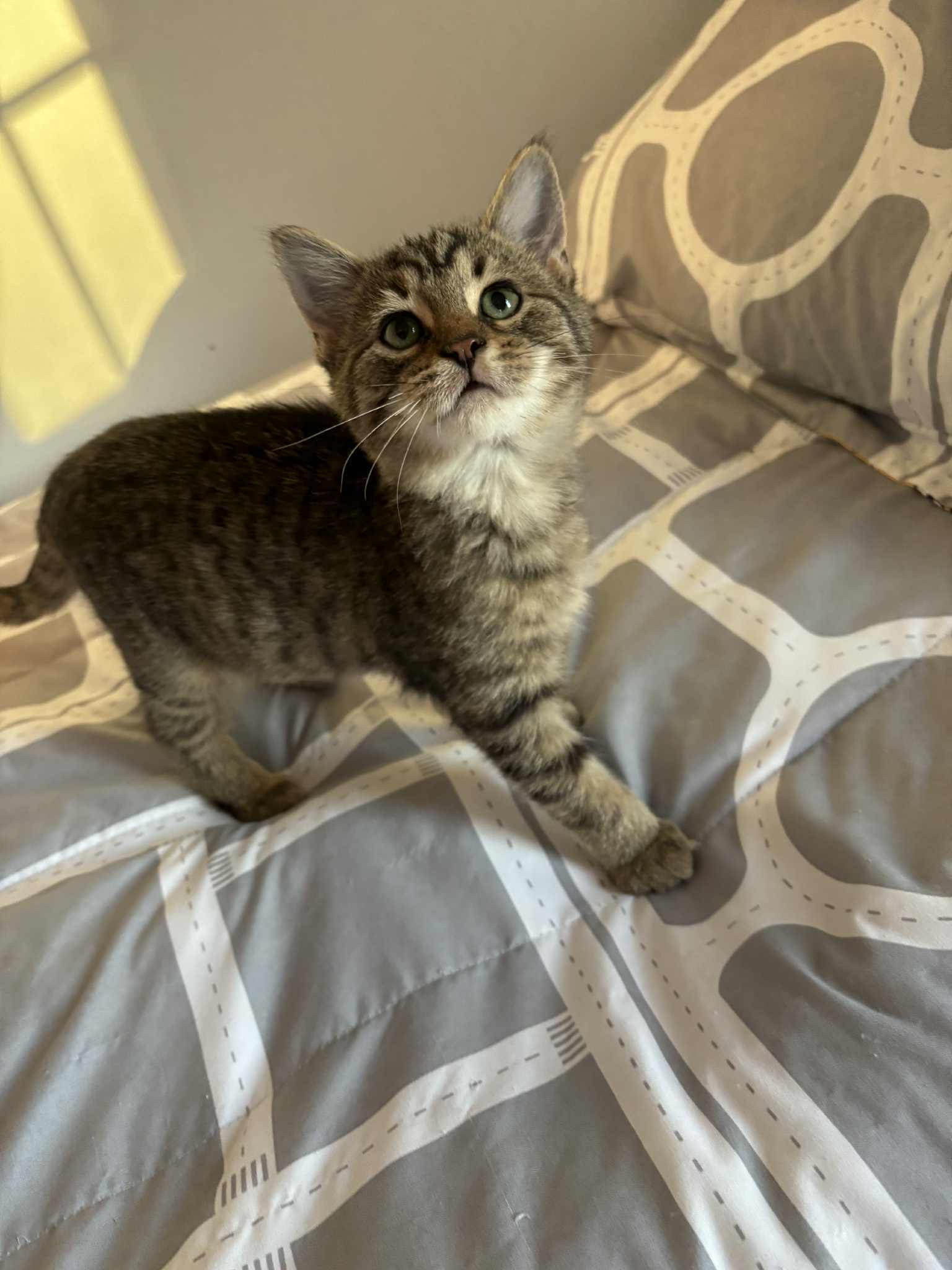 Winter: Not at shelter (Kristy)