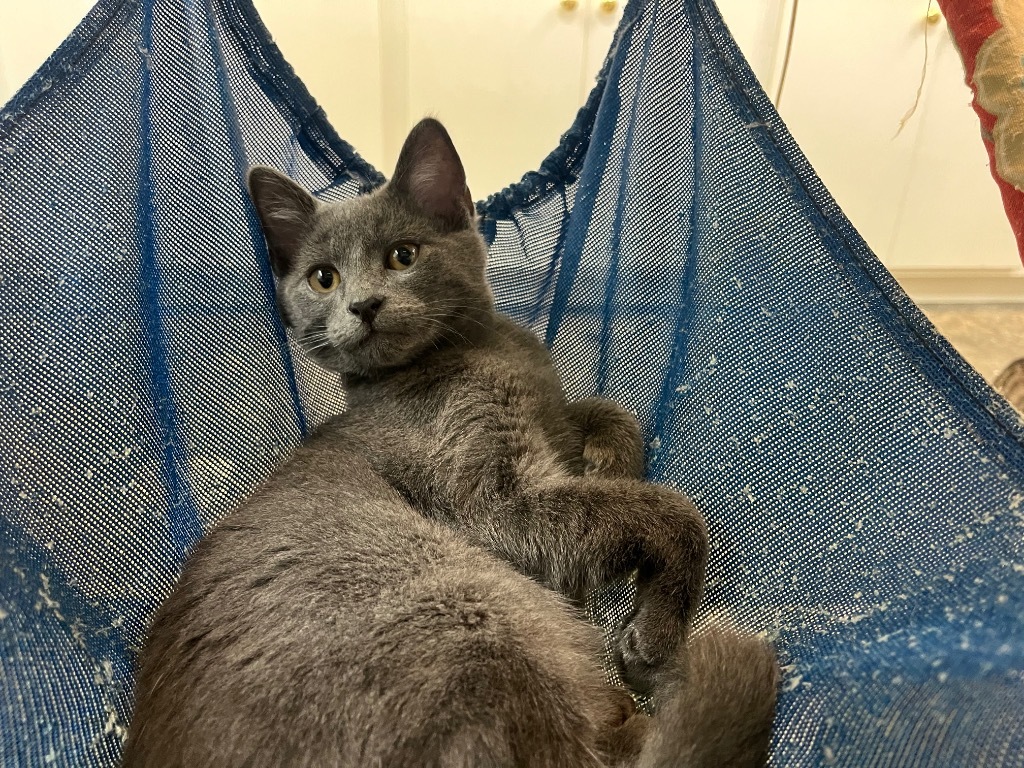 Sapphire