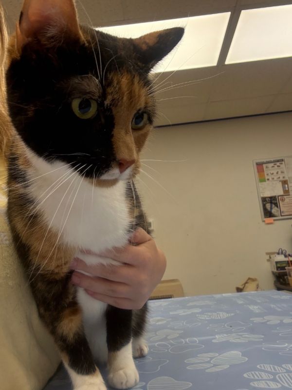 Wednesday thumbnail 2