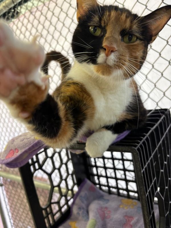 Wednesday thumbnail 3