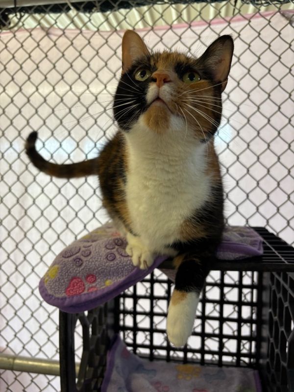 Wednesday thumbnail 4