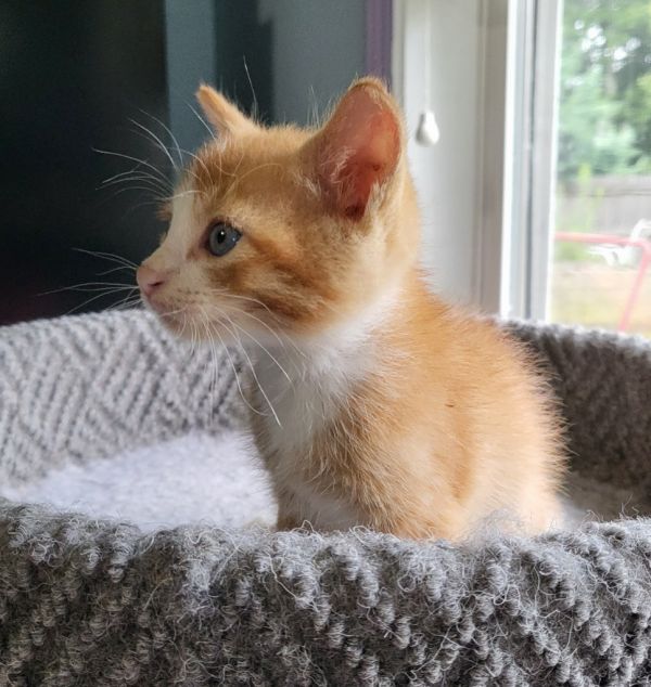 Einstien thumbnail 6