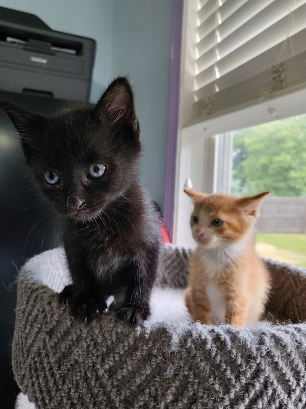 Stephanie thumbnail 2