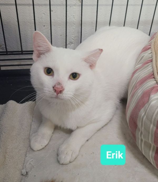 Erik