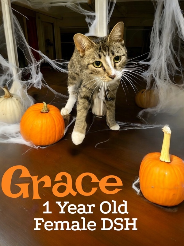 Grace