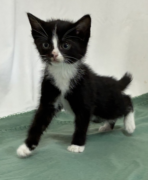 Keiko