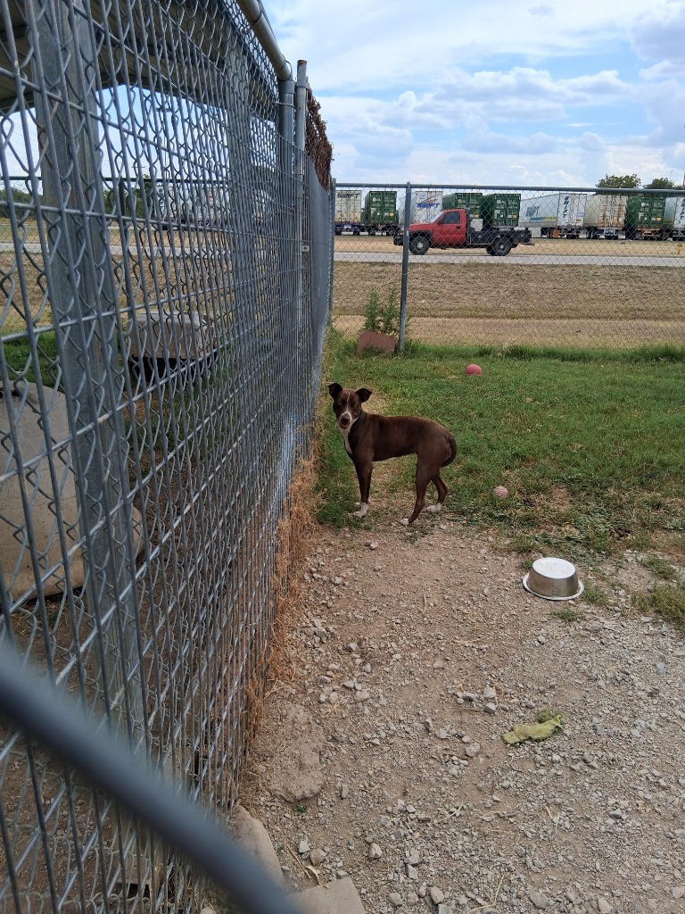 Dorothy