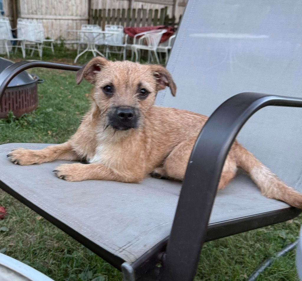 Duke