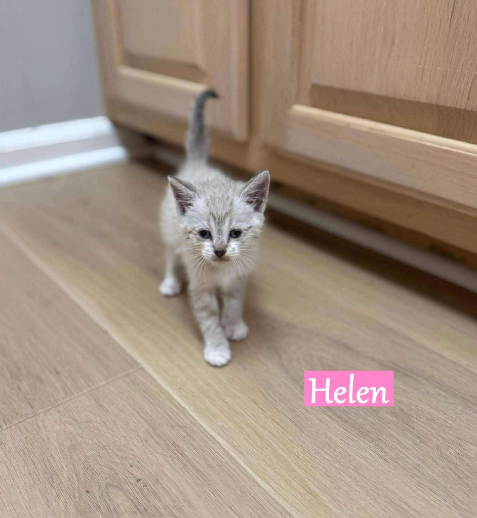 Helen