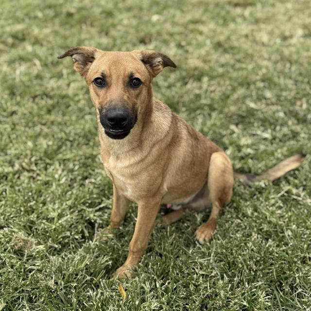 LUCA