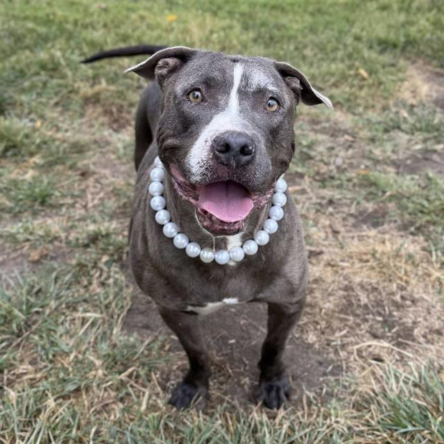 JUNO