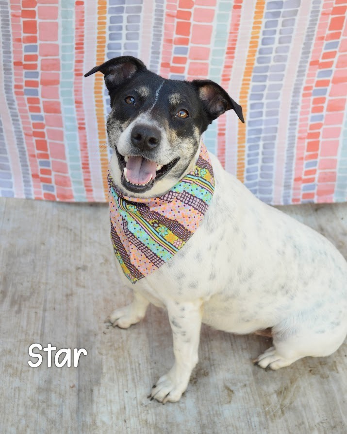 Star