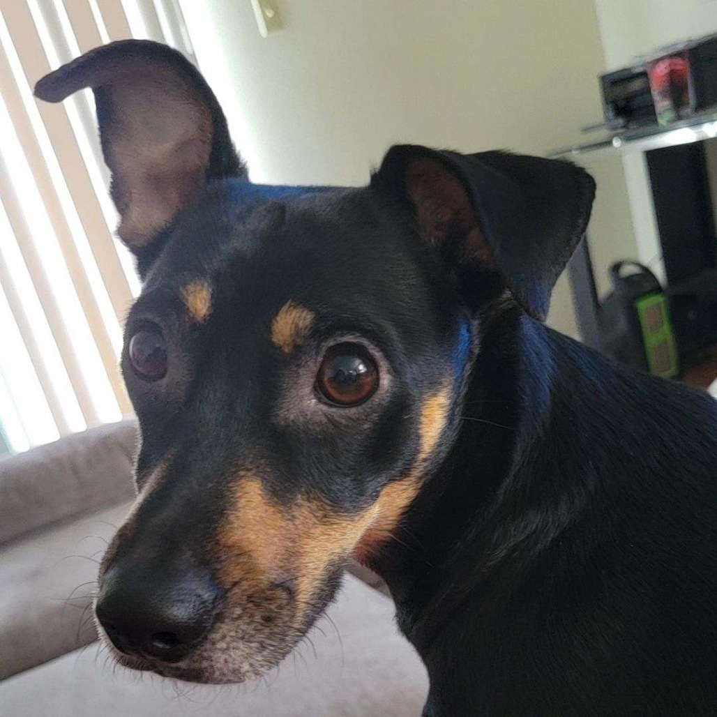 Reggie