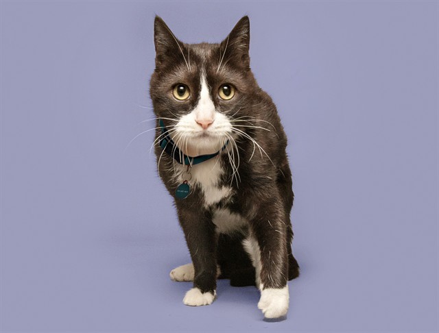 TUX