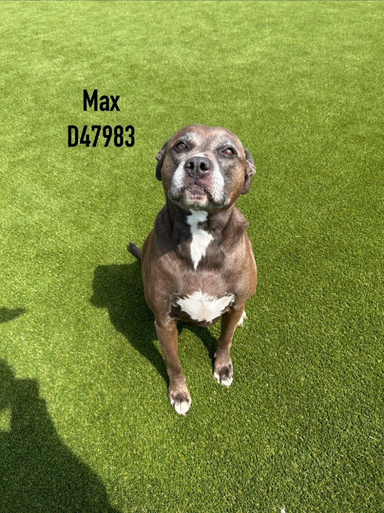 Max