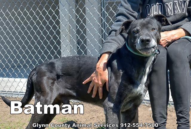 BATMAN