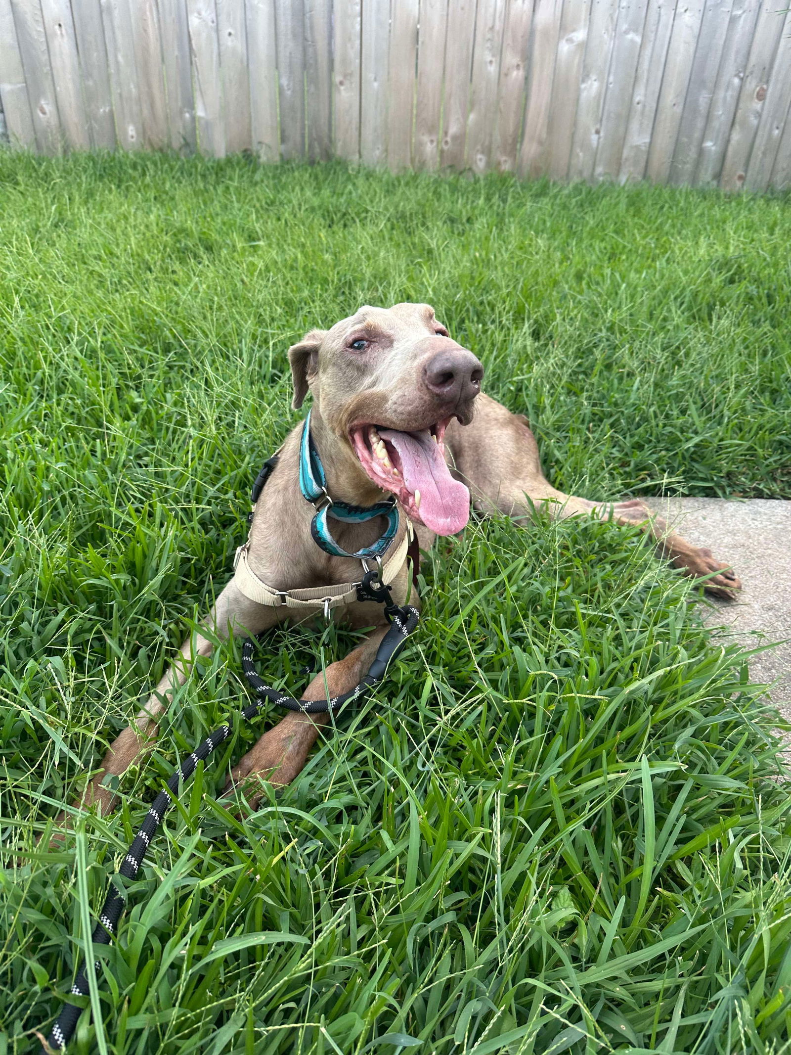 LENNOX