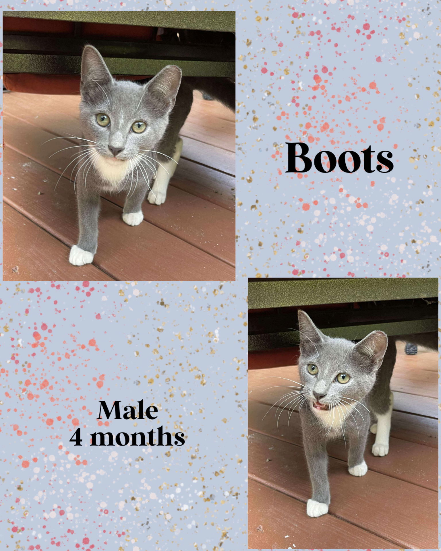 BOOTS