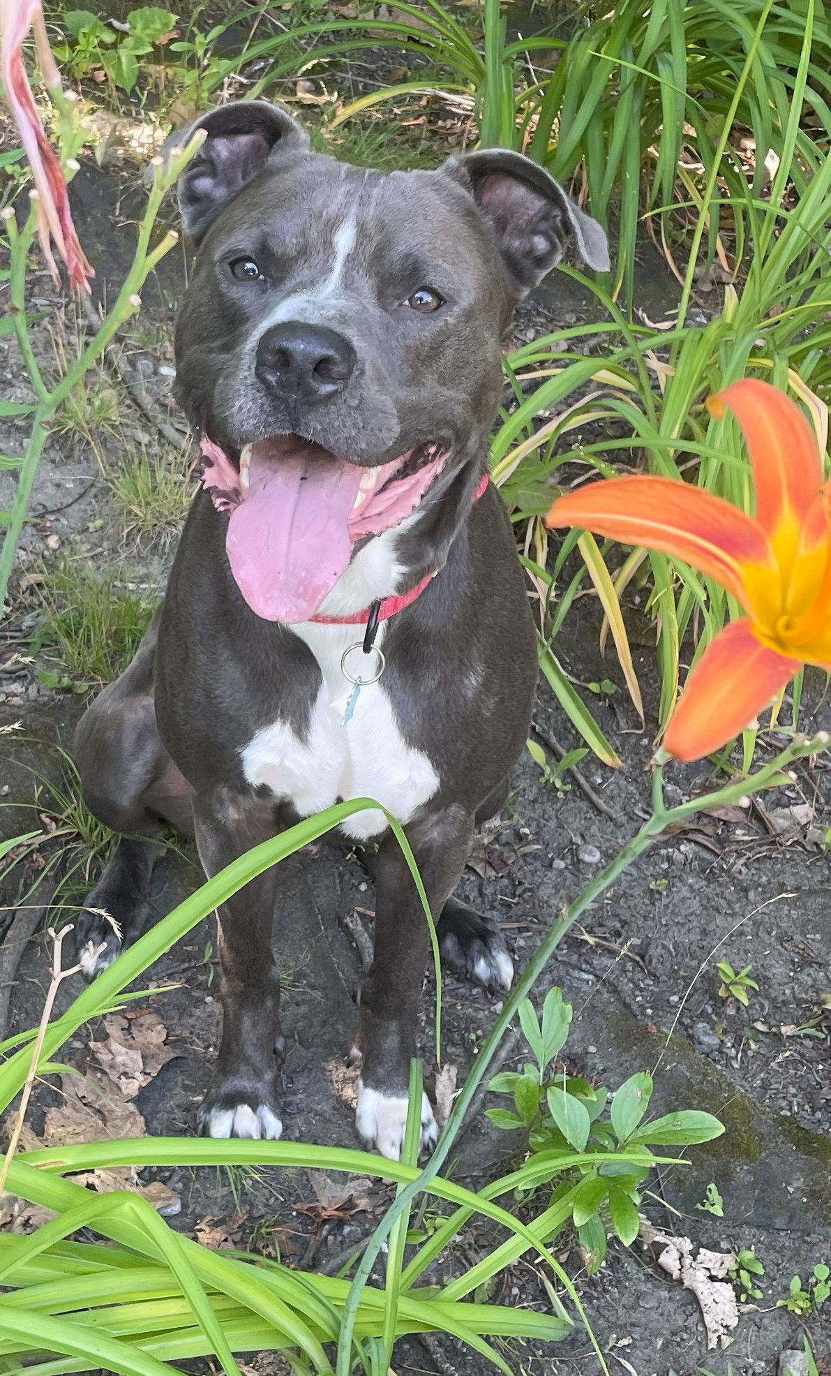 Max -- Courtesy post
