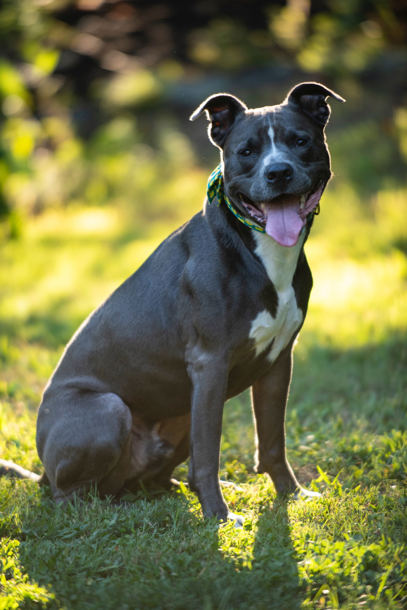 Max -- Courtesy post