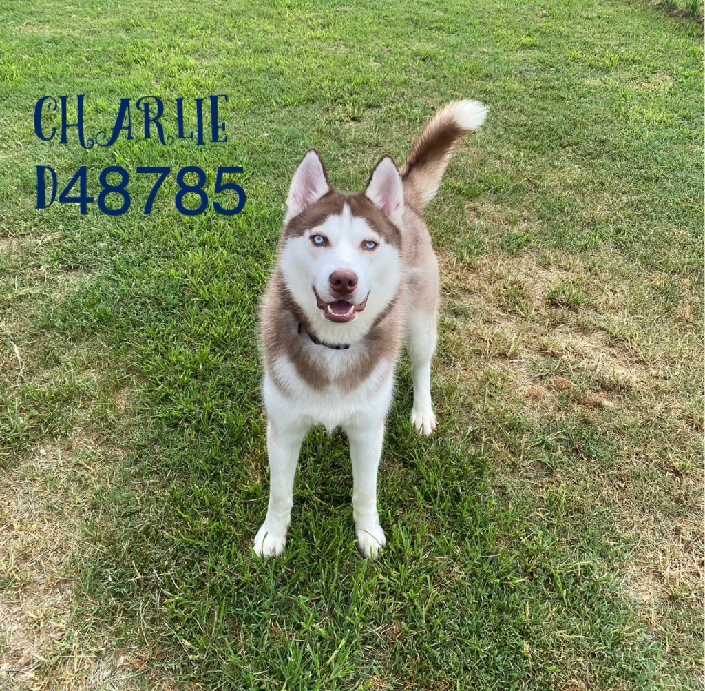 Charlie