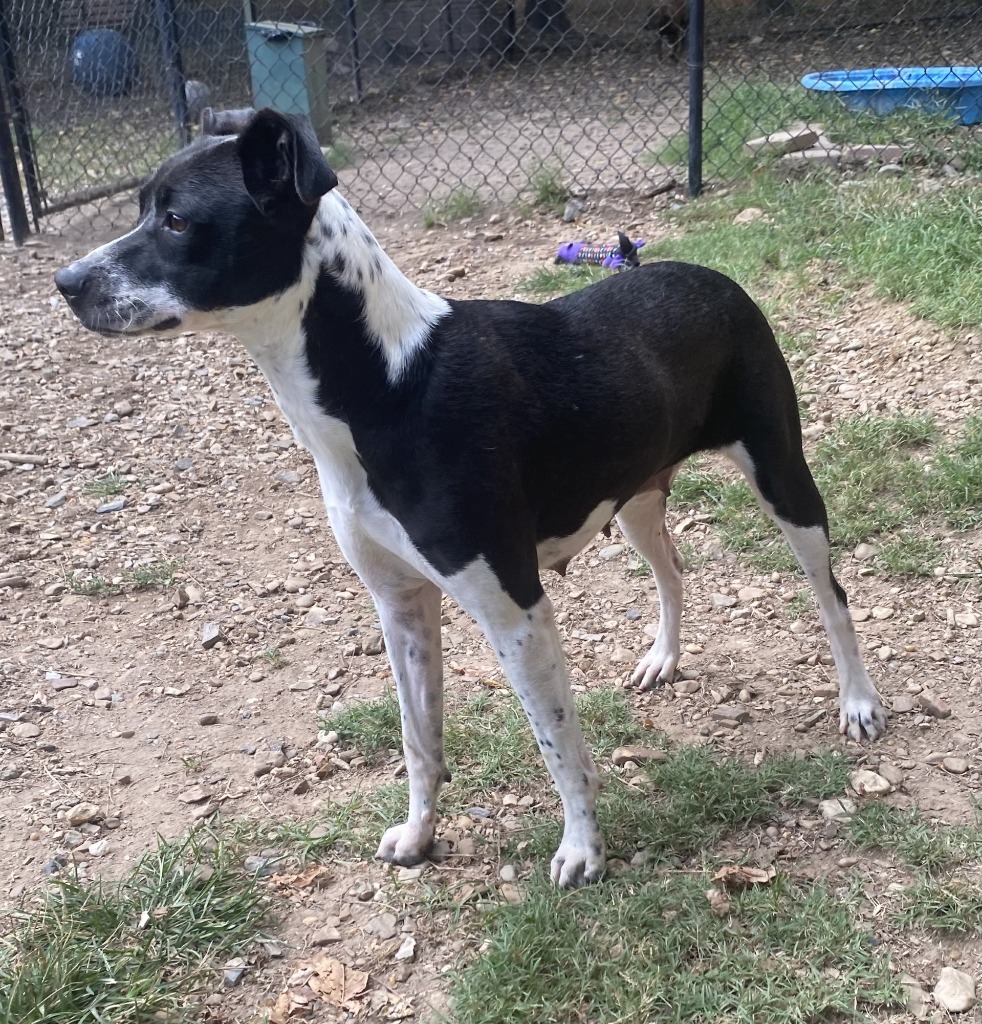 Tina