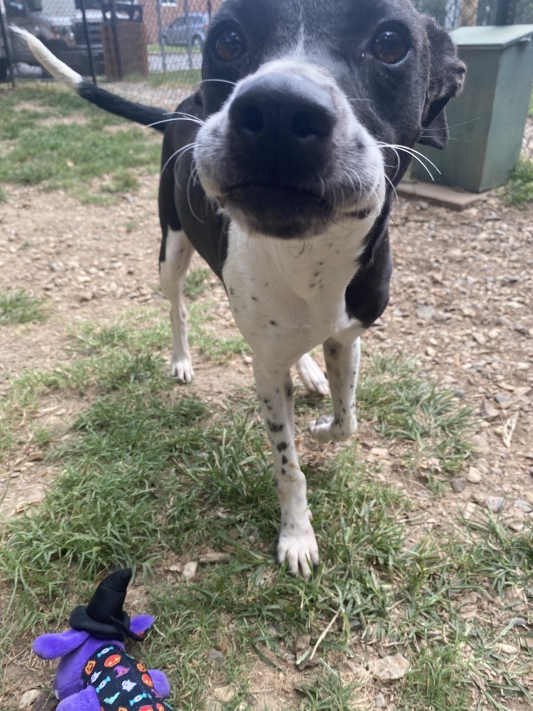 Tina