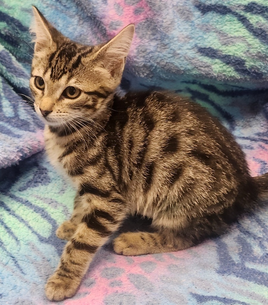Rita