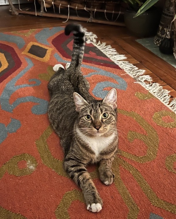 Freya