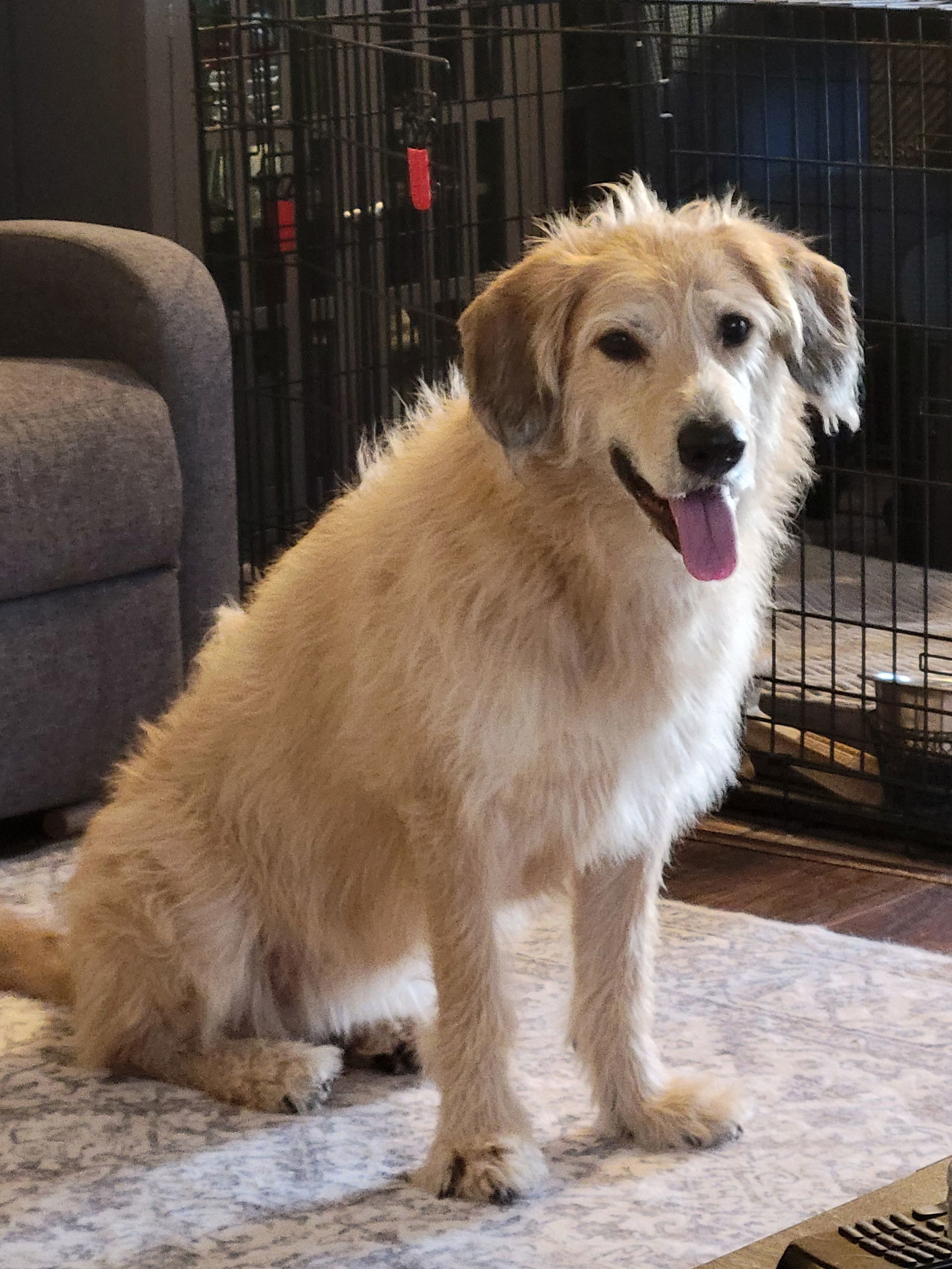 NALA #10