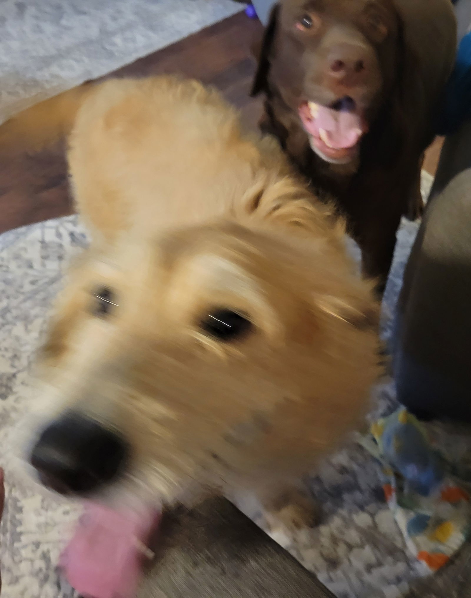 NALA #10