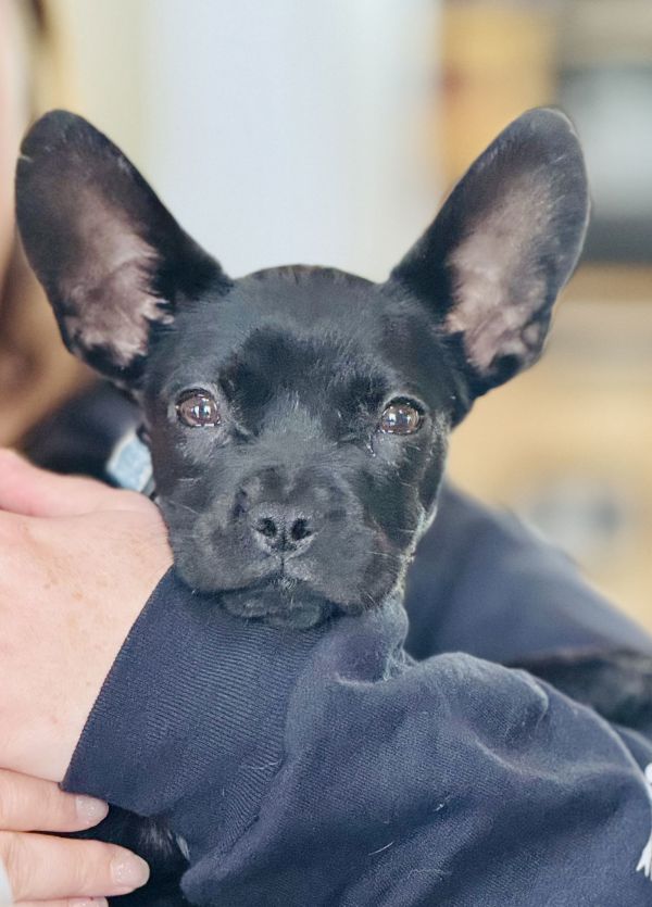 Pebbles Ziggy Marley thumbnail 2