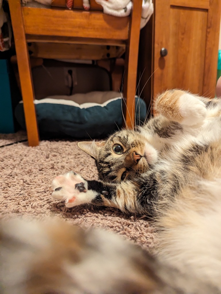 Marley