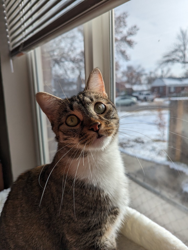 Marley