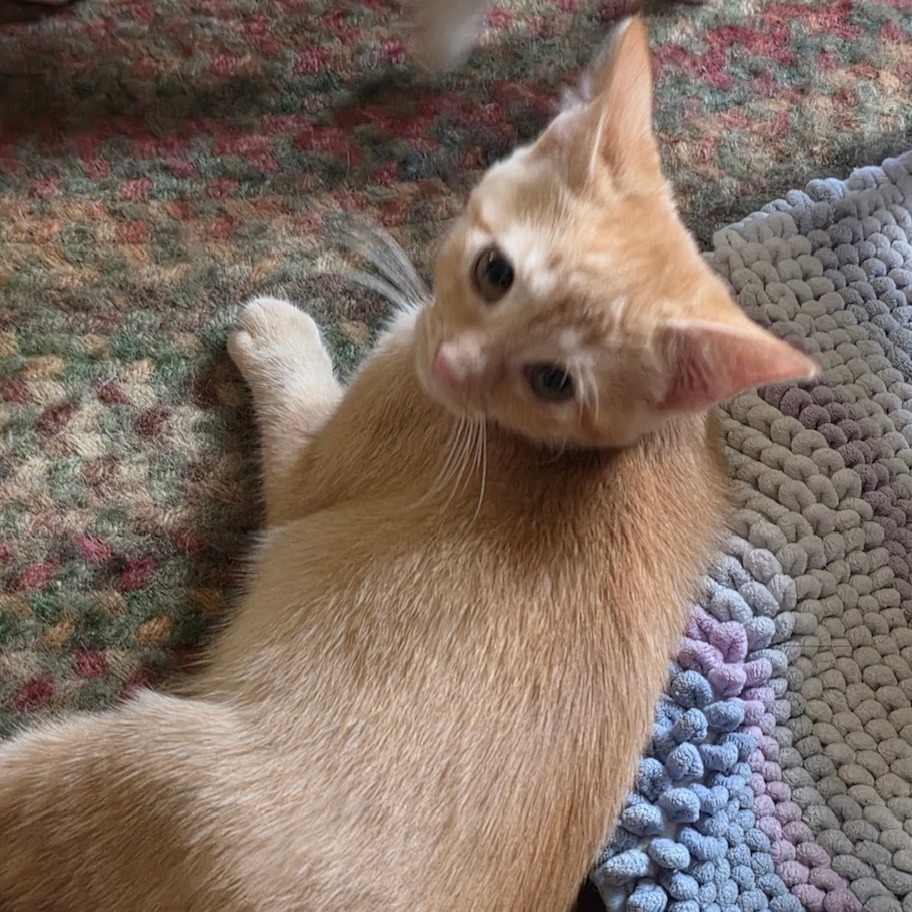 Marvin