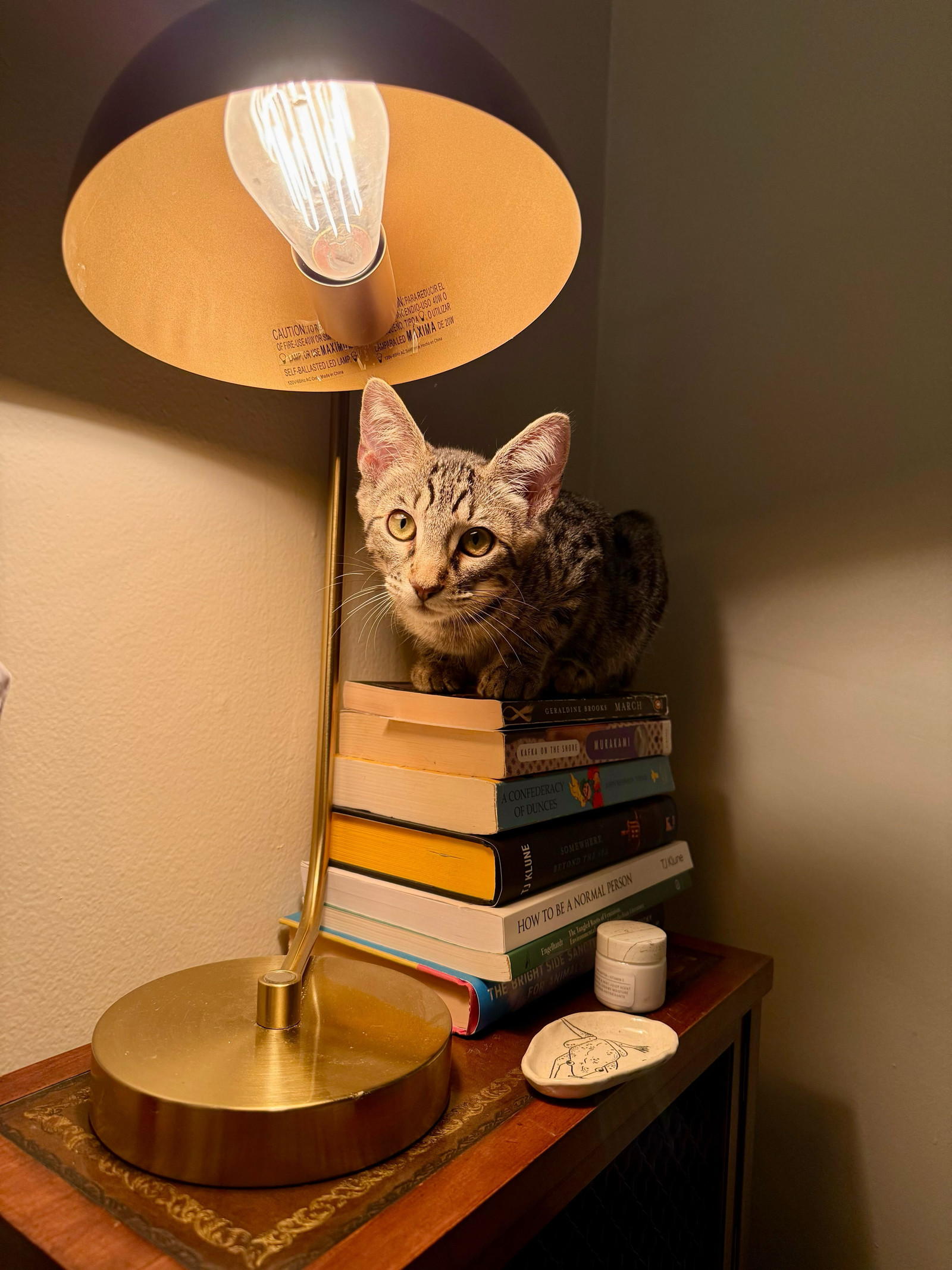 Cooper (bonded with Raja)