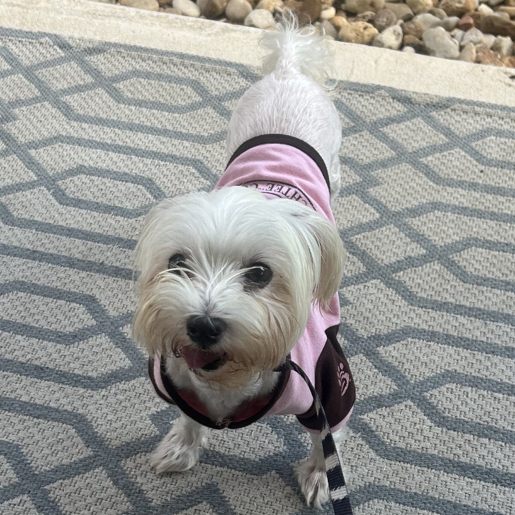 Cami Elizabeth (Austin)