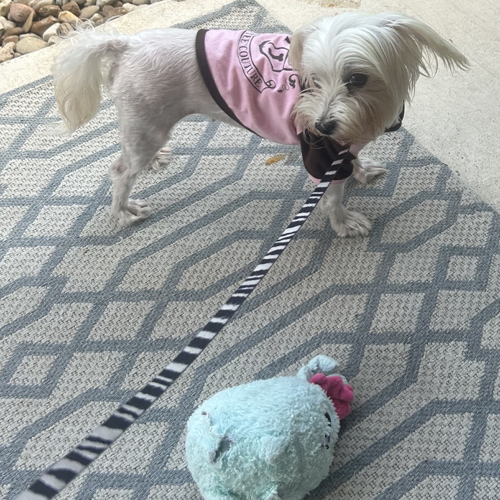 Cami Elizabeth (Austin)