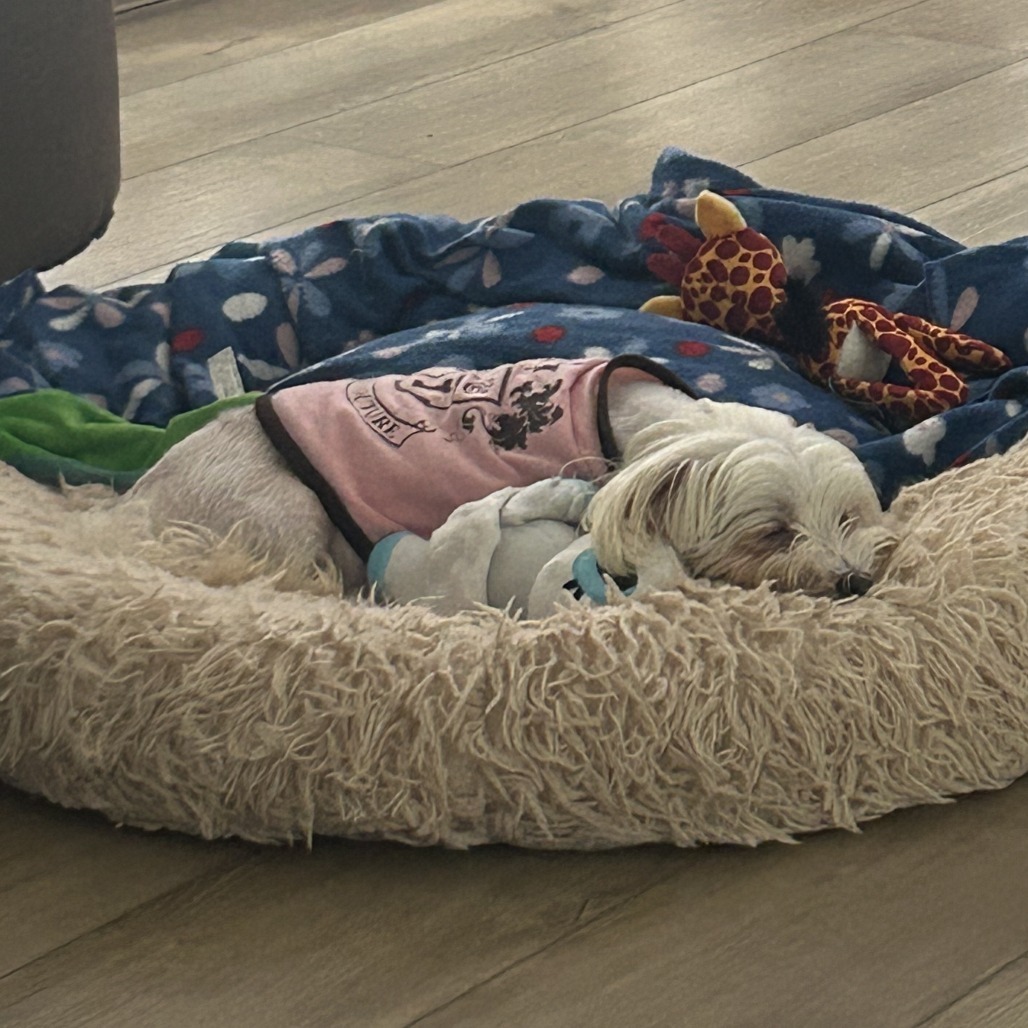 Cami Elizabeth (Austin)